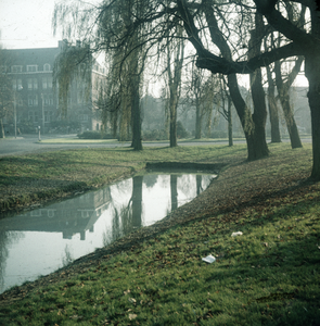 119218 Gezicht op het zuidelijke deel van het Wilhelminapark te Utrecht, met links op de achtergrond een deel van de ...